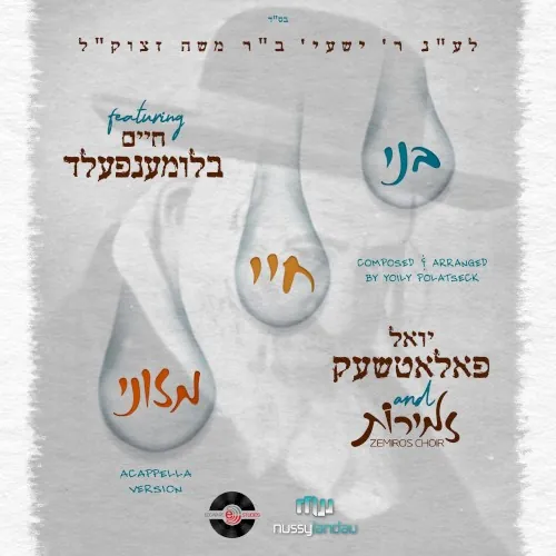 ר׳ ישעי׳לע [Reb Shayaleh] cover