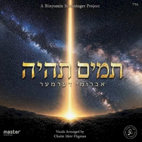 תמים תהיה cover