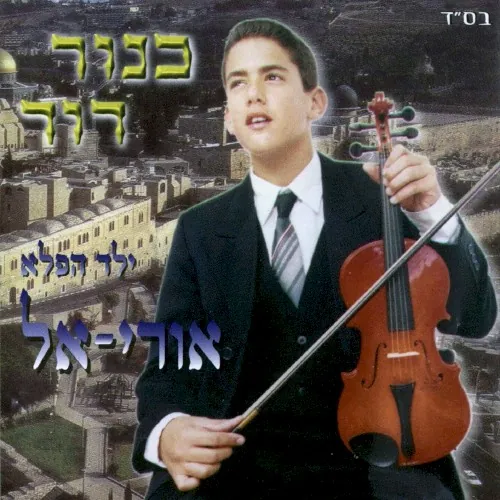 כינור דוד cover