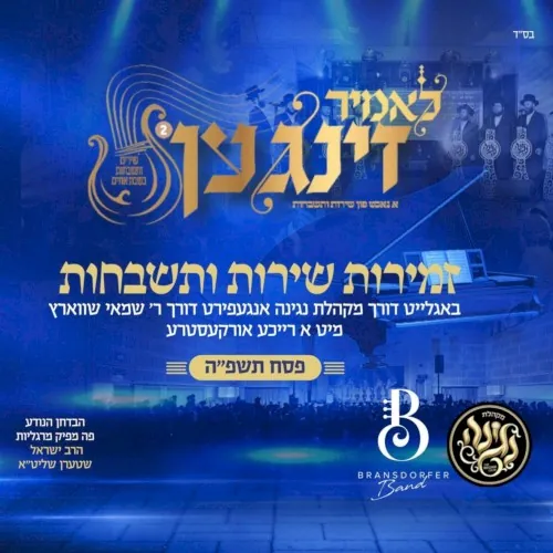 לאמיר זינגען פסח תשפ"ה cover