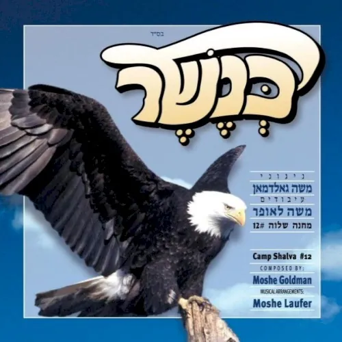 Kenesher cover