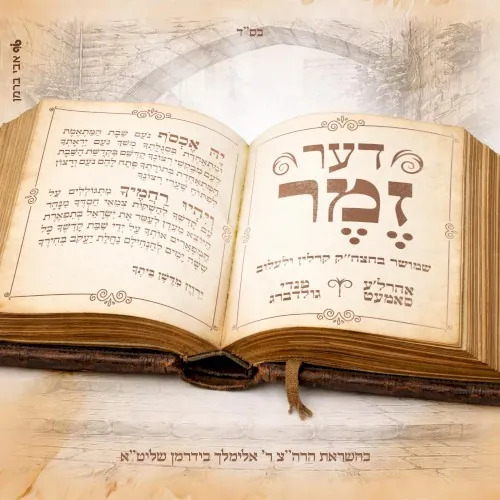 דער זמר cover