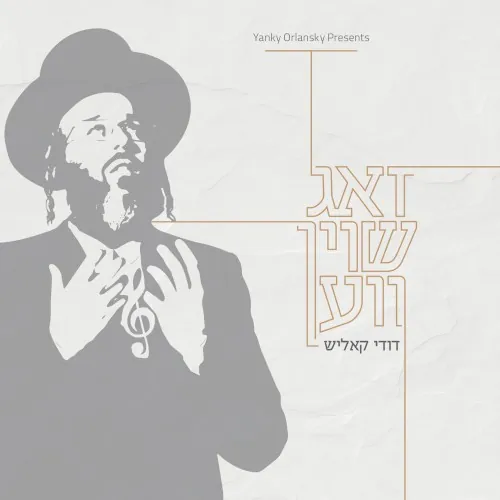 זאג שוין ווען cover