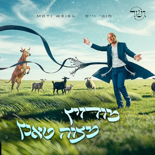 מודזיץ מצוה טאנץ cover