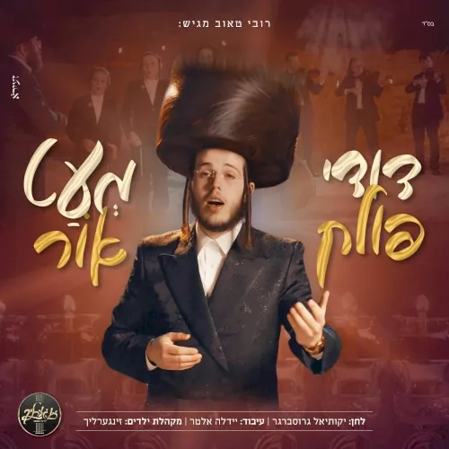 מעט אור cover