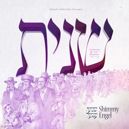 Sheinis cover