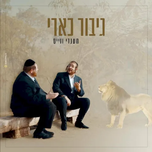 גיבור כארי cover