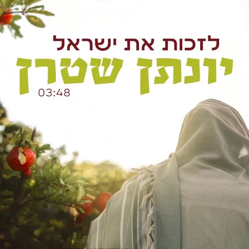 לזכות את ישראל cover