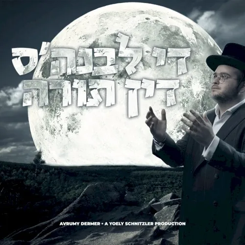 The Levunah’s Din Torah (די לבנה’ס דין תורה) cover