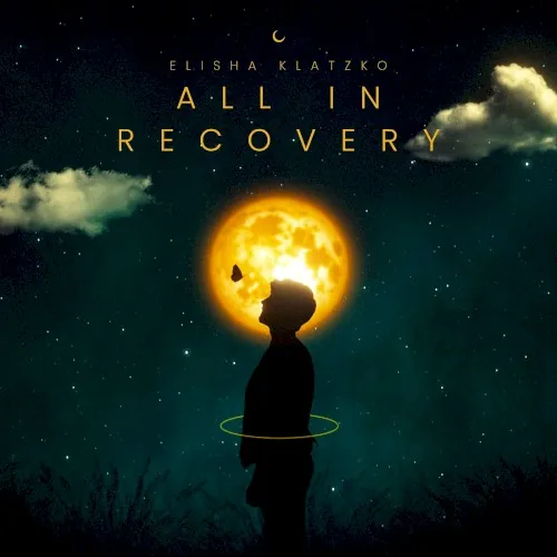 All in Recovery cover