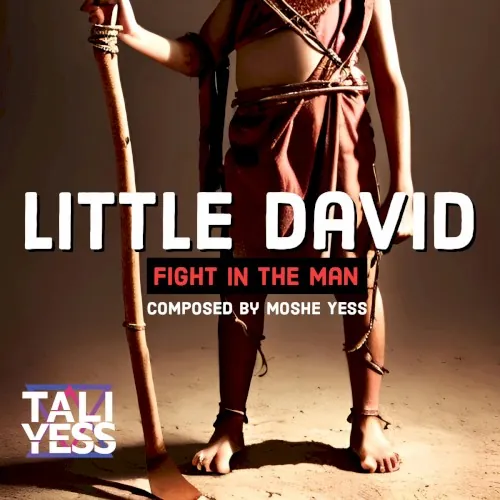 Little David Fight in the Man cover