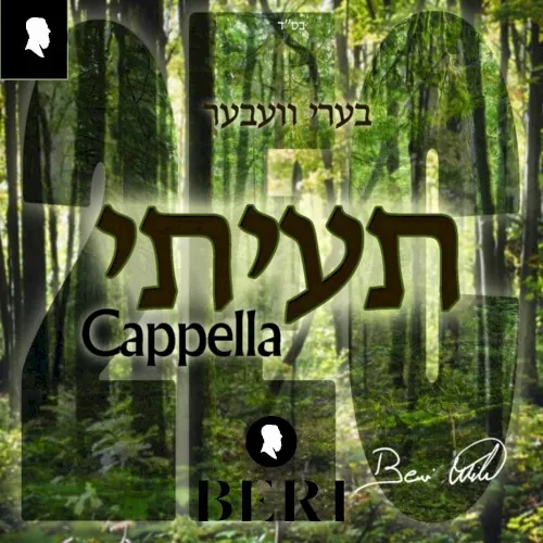 2ec (Akapella - תעיתי כשה אובד) cover