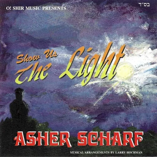 Show Us The Light cover