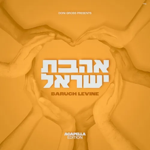 Ahavas Yisroel (Acapella Edition) cover