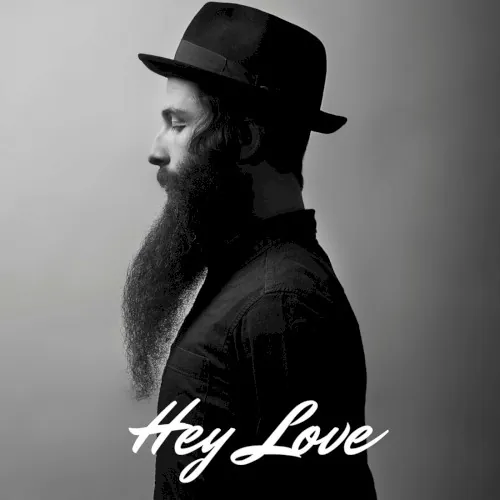 Hey Love cover