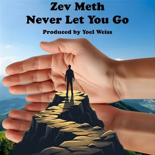 Never Let You Go cover