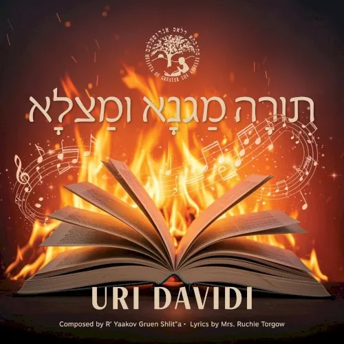Torah Magna U'Matzla cover