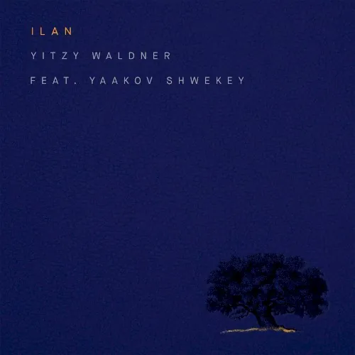 Ilan cover
