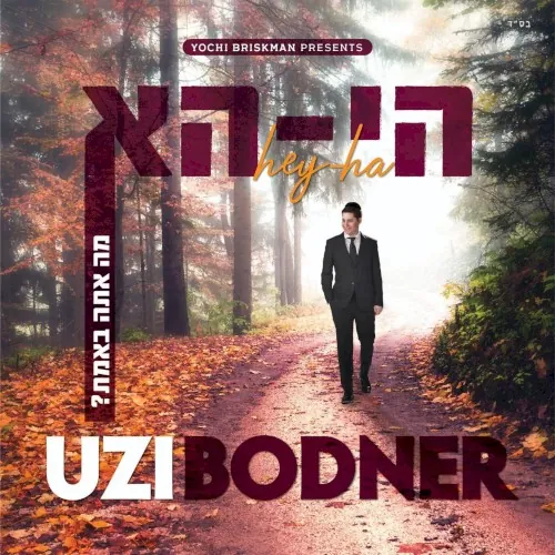 Hey‐Ha cover