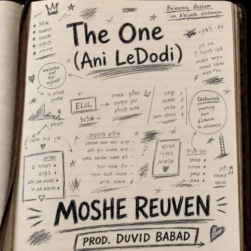 The One // Ani LeDodi cover