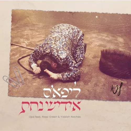 ליפא׳ס אידיש נחת cover