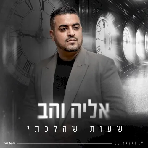 שעות שהלכתי cover