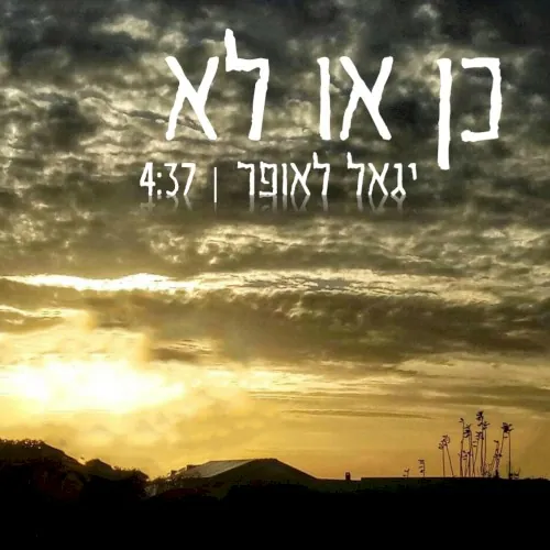 כן או לא cover