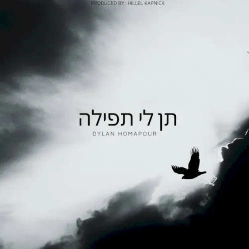 תן לי תפילה cover