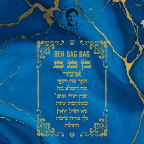 Ben Bag Bag cover