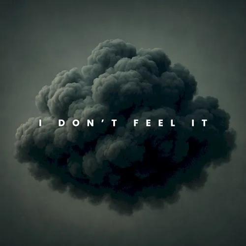 I Don't Feel It cover