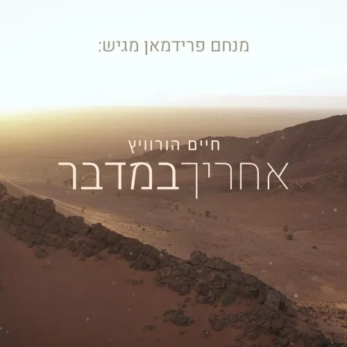 אחריך במדבר cover