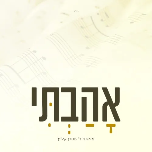אהבתי cover