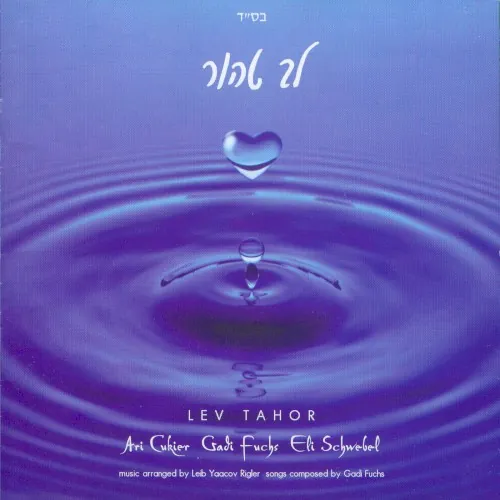 Lev Tahor 2 cover