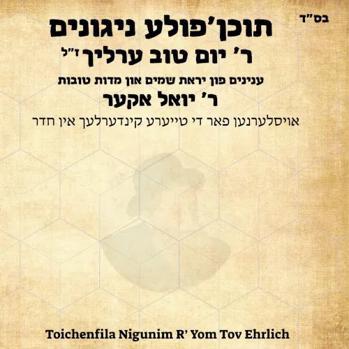 Toichenfila Nigunim R’ Yom Tov Ehrlich cover