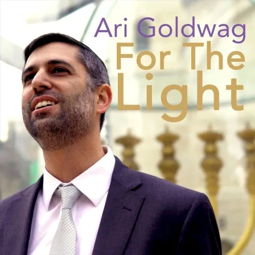 For the Light cover