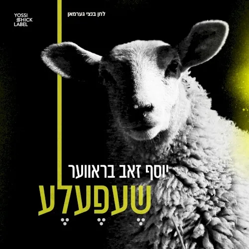 Shefele cover