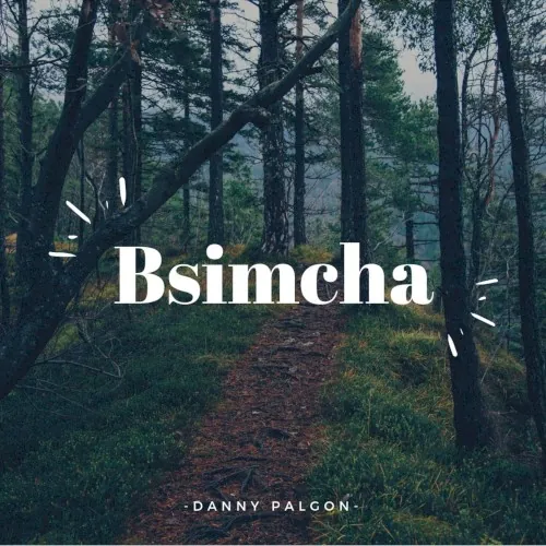 Bsimcha cover