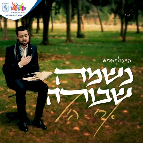 נשמה שבורה cover