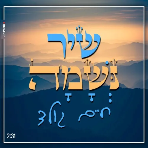 שיר נשמה cover