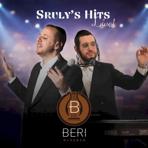 Sruly's Hits cover