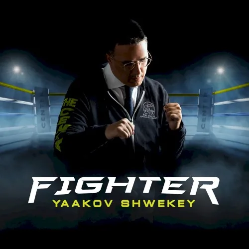 Fighter cover