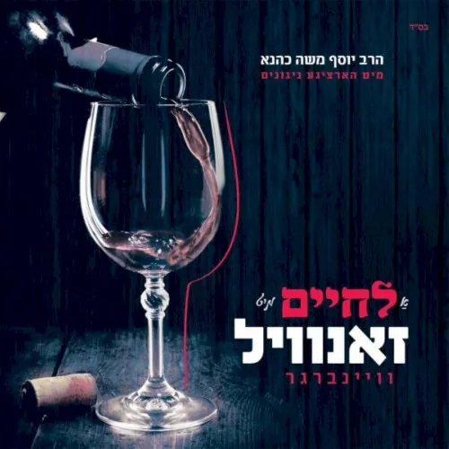 א לחיים מיט זאנוויל cover